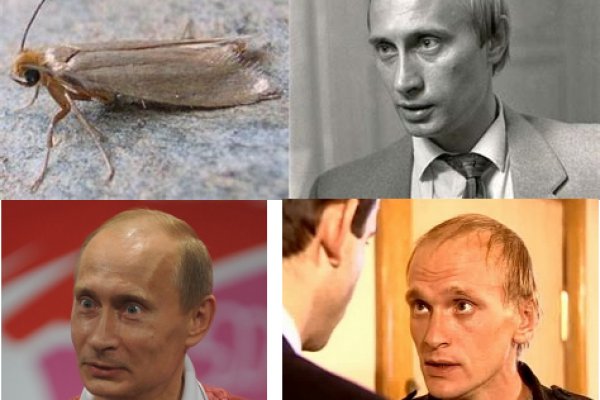 Заказать даркнет